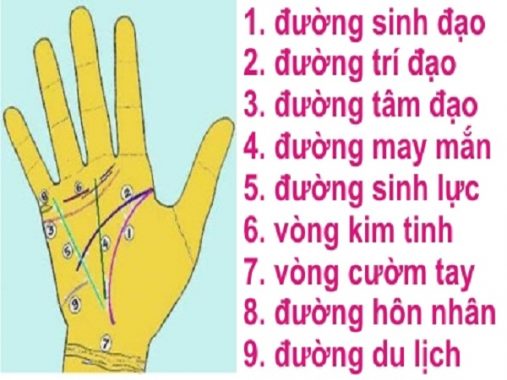 Xem chỉ tay nam – Đoán vận mệnh đàn ông qua đường chỉ tay
