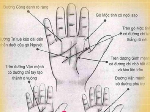 Xem chỉ tay nữ – Đoán vận mệnh của phụ nữ qua đường chỉ tay