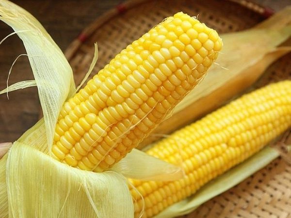Mơ thấy bắp ngô đánh con gì chuẩn nhất có điềm báo gì