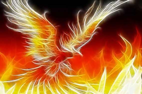 Bí ẩn giấc mơ thấy phượng hoàng, đánh con gì dễ trúng nhất