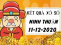 Thống kê kết quả XS Ninh Thuận thứ 6 ngày 11/12/2020
