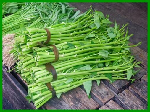 Nằm mơ thấy rau muống đánh con gì? Điềm báo Tốt & Xấu