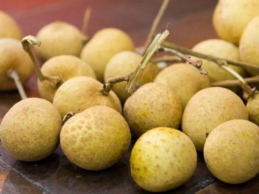 Nằm mơ thấy quả nhãn có ý nghĩa gì? Đánh con số mấy