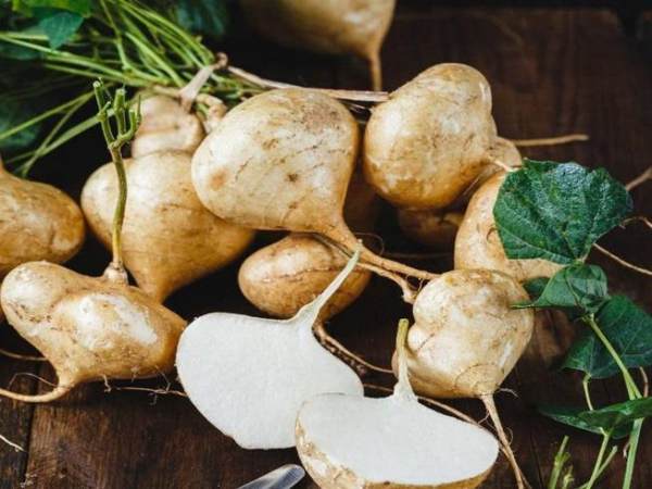 Mơ thấy củ đậu Mơ thấy củ đậu