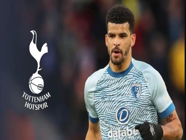 Chuyển nhượng 10/08: Dominic Solanke trên đường tới Tottenham Hotspur