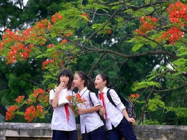 Ý nghĩa tâm lý khi mơ thấy mình đi học