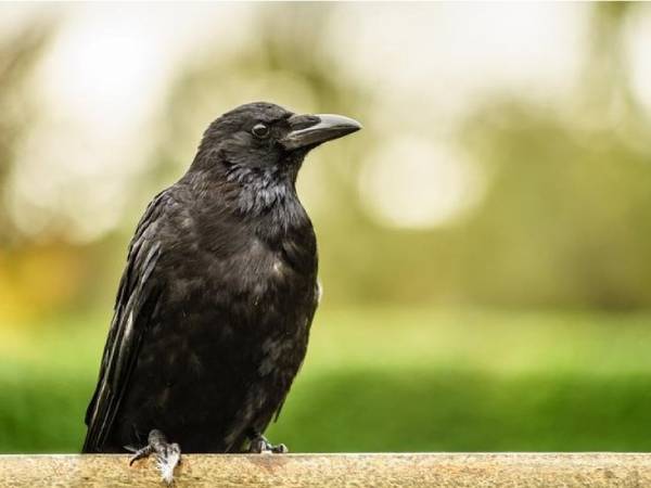 Dấu hiệu của sự thay đổi Dấu hiệu của sự thay đổi