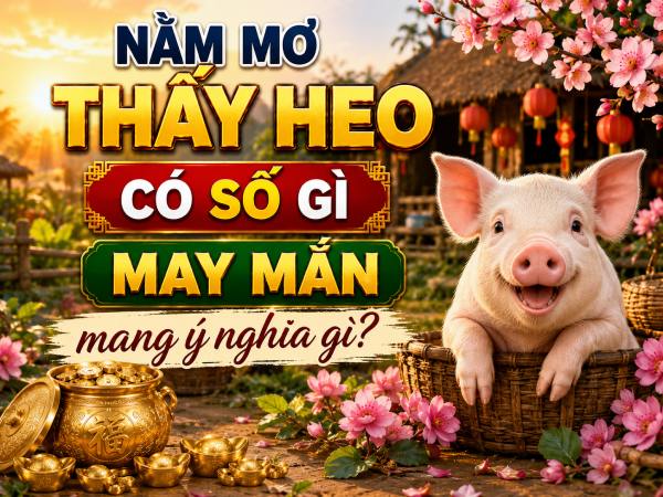 Nằm mơ thấy heo có số gì may mắn mang ý nghĩa gì
