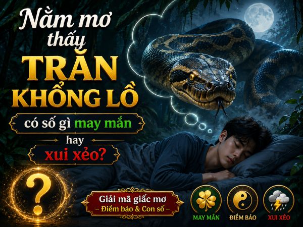 Nằm mơ thấy trăn khổng lồ có số gì may mắn hay xui xẻo