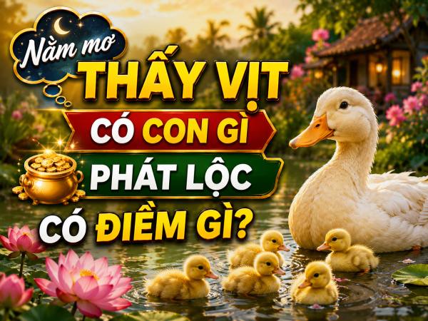 Nằm mơ thấy vịt có con gì phát lộc có điềm gì