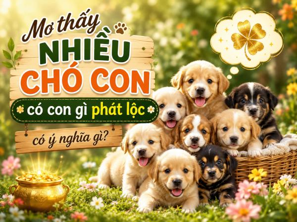 Mơ thấy nhiều chó con có con gì phát lộc có ý nghĩa gì